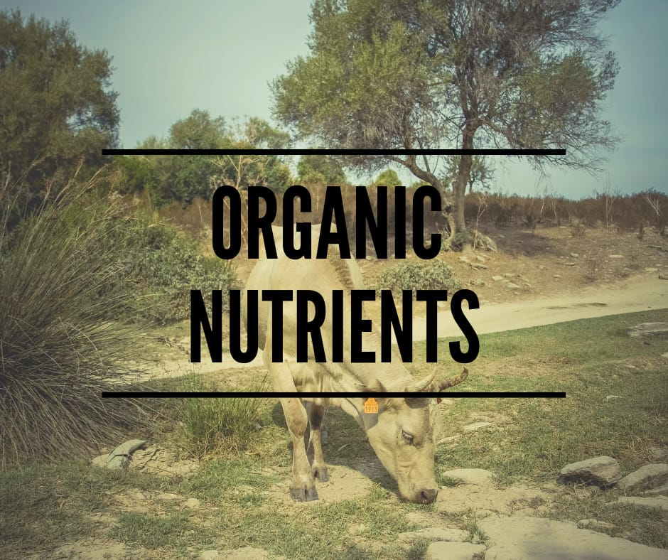 Organic Nutrients