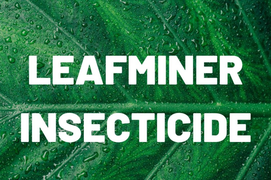 leafminer insecticide