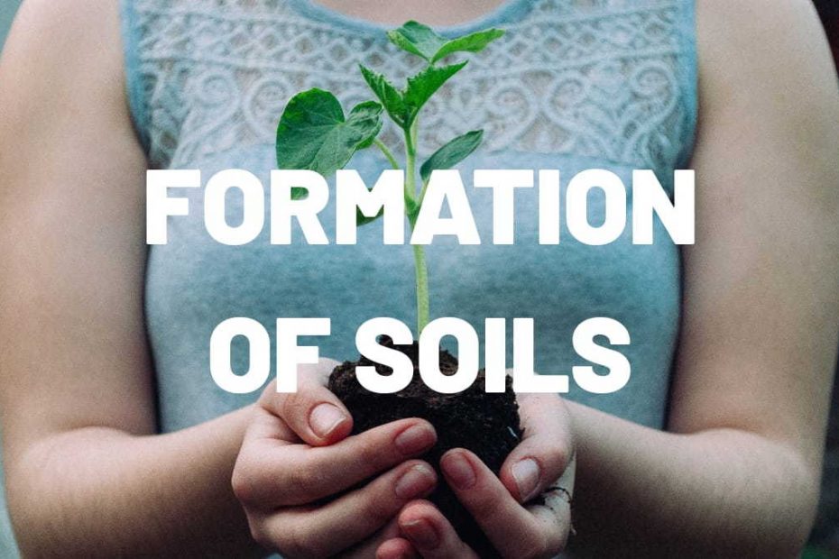 formation of soils